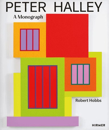 Robert Hobbs - Peter Halley, Inbunden