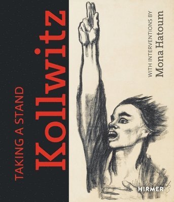 bokomslag Taking a Stand: Kthe Kollwitz