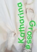 Klaus Albrecht Schröder, Angela Stief - Katharina Grosse, Häftad