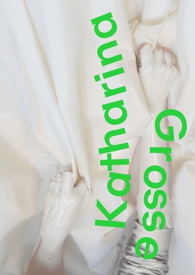 Klaus Albrecht Schröder, Angela Stief - Katharina Grosse, Inbunden