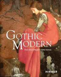 bokomslag Gothic Modern