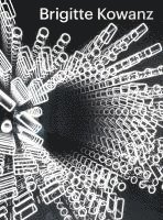 bokomslag Brigitte Kowanz - Light is what we see