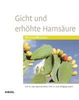 bokomslag Gicht und erhöhte Harnsäure