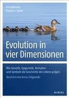 bokomslag Evolution in vier Dimensionen