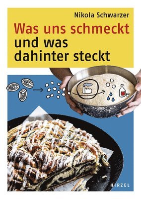 bokomslag Was Uns Schmeckt Und Was Dahinter Steckt: Die Susse Kuche Erklart Mit Der Naturwissenschaft