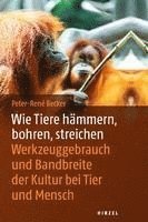 bokomslag Wie Tiere hämmern, bohren, streichen