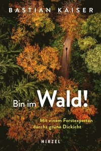 bokomslag Bin im Wald!