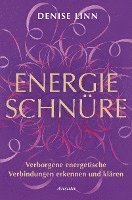 bokomslag Energieschnüre