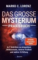 bokomslag Das große Mysterium - Praxisbuch