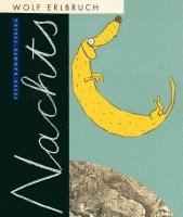 Wolf Erlbruch - Nachts, Inbunden