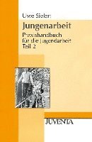 bokomslag Praxishandbuch für die Jugendarbeit 2. Jungenarbeit