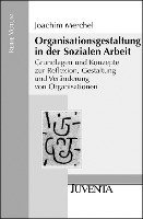 bokomslag Organisationsgestaltung in der Sozialen Arbeit