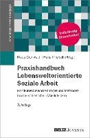 bokomslag Praxis Lebensweltorientierte Soziale Arbeit