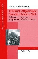 bokomslag Lehrbuch Allgemeiner Sozialer Dienst - ASD