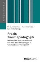David Zimmermann, Hans Rosenbrock, Lars Dabbert - Praxis Traumapädagogik, Häftad