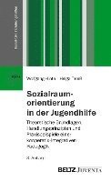 bokomslag Sozialraumorientierung in der Jugendhilfe