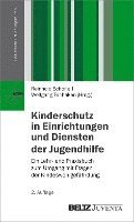 bokomslag Kinderschutz in Einrichtungen und Diensten der Jugendhilfe