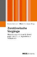 Sabine Andresen, Wilhelm Heitmeyer - Zerstörerische Vorgänge, Häftad