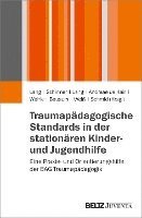 bokomslag Traumapädagogische Standards in der stationären Kinder- und Jugendhilfe