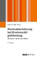 bokomslag Risikoabschätzung bei Kindeswohlgefährdung