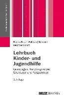 bokomslag Lehrbuch Kinder- und Jugendhilfe