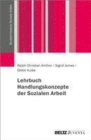 Lehrbuch Handlungskonzepte der Sozialen Arbeit 1