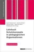bokomslag Lehrbuch Schutzkonzepte in pädagogischen Organisationen