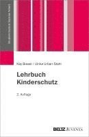 bokomslag Lehrbuch Kinderschutz