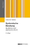 Systemische Beratung 1