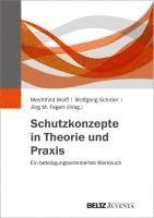 bokomslag Schutzkonzepte in Theorie und Praxis