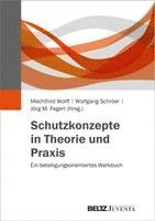 Schutzkonzepte in Theorie und Praxis