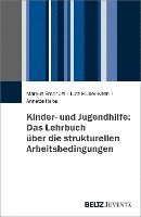 bokomslag Kinder- und Jugendhilfe: Das Lehrbuch über die strukturellen Arbeitsbedingungen