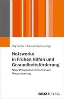Jörg Fischer, Raimund Geene - Netzwerke in Frühen Hilfen und Gesundheitsförderung, Häftad