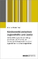 bokomslag Kindeswohl zwischen Jugendhilfe und Justiz