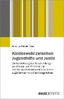 Johannes Münder - Kindeswohl zwischen Jugendhilfe und Justiz, Häftad