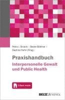 bokomslag Praxishandbuch Interpersonelle Gewalt und Public Health