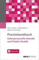 Praxishandbuch Interpersonelle Gewalt und Public Health 1