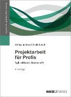 bokomslag Projektarbeit für Profis