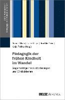 bokomslag Pädagogik der frühen Kindheit im Wandel