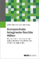 Stefan Lenz, Friedhelm Peters - Kompendium Integrierte flexible Hilfen, Inbunden