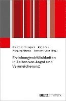 bokomslag Erziehungswirklichkeiten in Zeiten von Angst und Verunsicherung