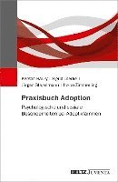 bokomslag Praxisbuch Adoption