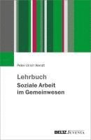 bokomslag Lehrbuch Soziale Arbeit im Gemeinwesen