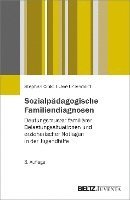 bokomslag Sozialpädagogische Familiendiagnosen