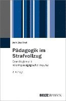 bokomslag Pädagogik im Strafvollzug