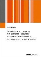 bokomslag Kompetenz im Umgang mit ethnisch-kultureller Vielfalt im Kinderschutz