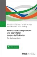 Hannah von Grönheim, Christa Paulini, Gadir Choumar, Jelena Seeberg - Arbeiten mit unbegleiteten und begleiteten jungen Geflüchteten, Häftad