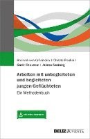 Hannah von Grönheim, Christa Paulini, Gadir Choumar, Jelena Seeberg - Arbeiten mit unbegleiteten und begleiteten jungen Geflüchteten, Häftad