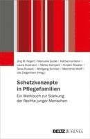 Jörg M. Fegert, Ute Ziegenhain, Manuela Gulde, Katharina Henn, Laura Husmann, Meike Kampert, Kirsten Röseler, Tanja Rusack, Wolfgang Schröer, Mechthild Wolff - Schutzkonzepte in Pflegefamilien, Häftad