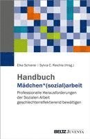 bokomslag Handbuch Mädchen*(sozial)arbeit